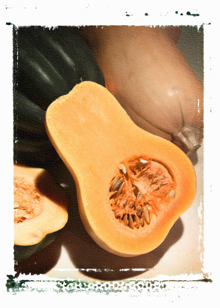 Butternut Squash Salad