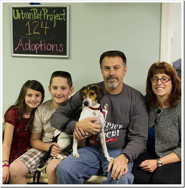 adopting Nellie adopting Nellie