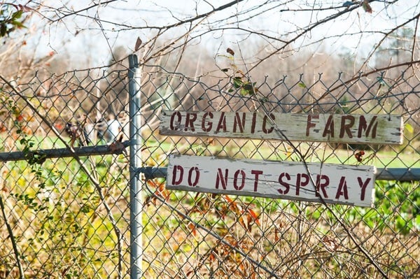 Love is Love Farm Love is Love Farm