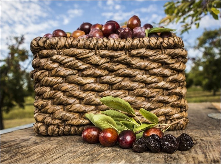 It's World Osteoporosis Day! Celebrate by eating dried plums!