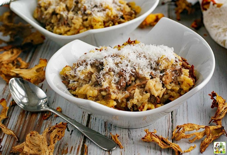 White bowls of Wild Mushroom Risotto with dried mushrooms and a spoon.