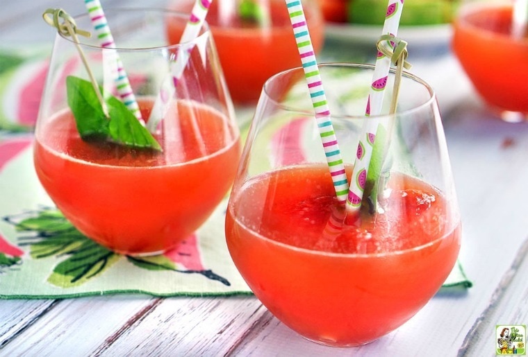 Sparkling Savannah Vodka Watermelon Cocktail Recipe This Mama Cooks On A Diet,Egg Roll Wrapper Recipes Chicken