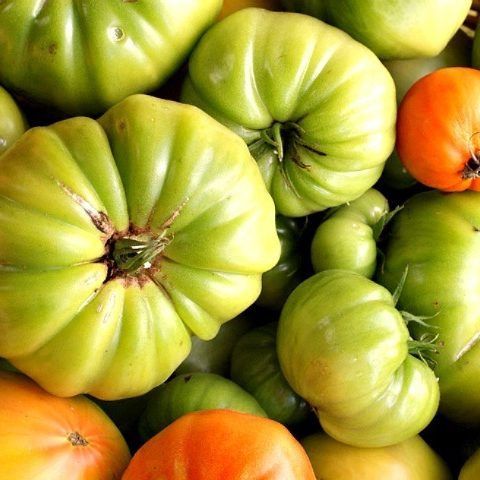 Green Tomato Ketchup Recipe-image