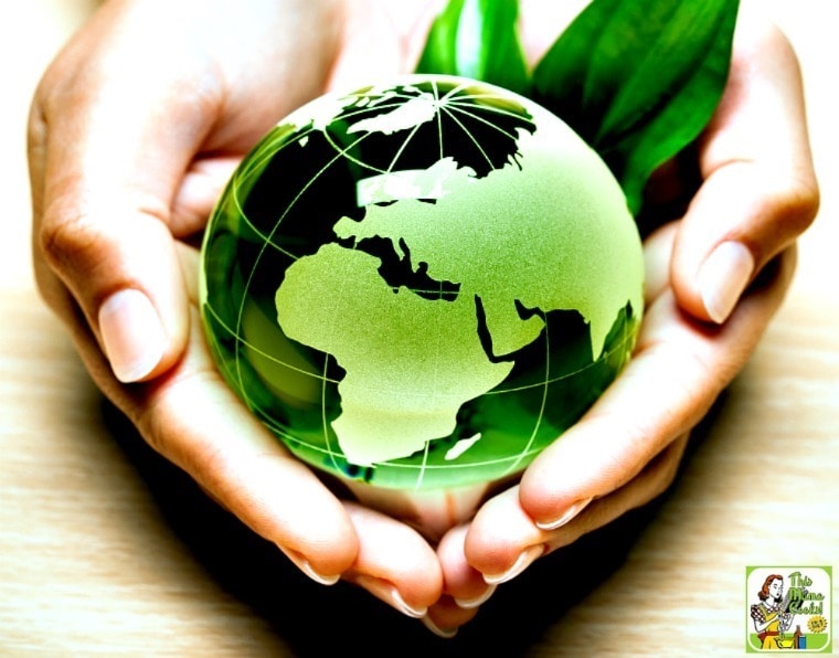 5 Easy EcoFriendly Tips to Brighten Up Your World This Mama Cooks