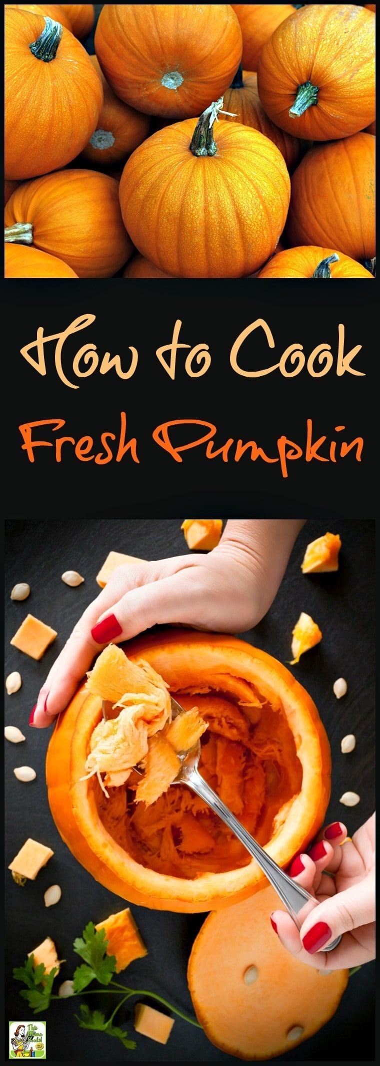 Want to know how to cook fresh pumpkin for Halloween and Thanksgiving recipes? It's easy to do! Plus two ways on how to cook pumpkin seeds. Click to get the pumpkin puree recipe!
