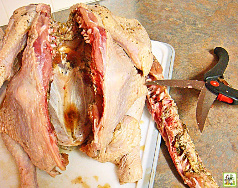 Essay On Turkey Microbes