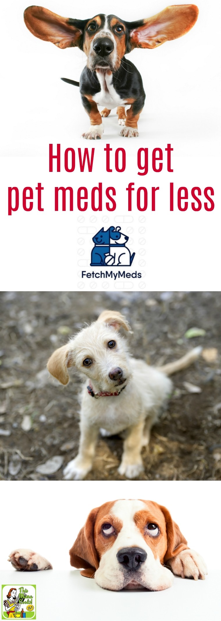 Discount pet medications coupons
