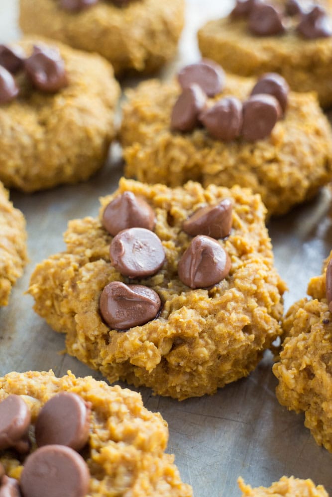Sugar Free Pumpkin Cookies with chocolate chips.
