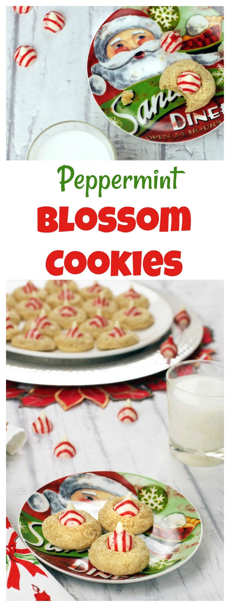 Baking holiday blossom cookies for your Christmas cookie swap? You'll love these Easy Gluten-Free Peppermint Blossom Cookies. This Hershey blossom cookies recipe uses white chocolate Kisses. Dairy free and gluten free. Can be made under 1 hour. #glutenfree #dairyfree #cookies #kisses #herseyskisses #christmas #homemadegifts #cookieexchange #cookieswap #peppermint #blossomcookies #recipe #easy #recipeoftheday #easyrecipes
