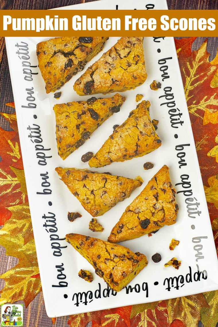 This Pumpkin Gluten Free Scones recipe is dairy-free and low in sugar. These easy gluten-free scones also contain chocolate chips and raisins. Perfect for Thanksgiving breakfast or brunch. Comes with a vegan option. #recipes #easy #recipeoftheday #glutenfree #easyrecipe #easyrecipes #glutenfreerecipes #dairyfree #pumpkindessert #pumpkinrecipe #pumpkin #pumpkinspice #baking #sugarfree #veganfood #vegan #veganrecipes #vegandesserts This Pumpkin Gluten Free Scones recipe is dairy-free and low in sugar. These easy gluten-free scones also contain chocolate chips and raisins. Perfect for Thanksgiving breakfast or brunch. Comes with a vegan option. #recipes #easy #recipeoftheday #glutenfree #easyrecipe #easyrecipes #glutenfreerecipes #dairyfree #pumpkindessert #pumpkinrecipe #pumpkin #pumpkinspice #baking #sugarfree #veganfood #vegan #veganrecipes #vegandesserts