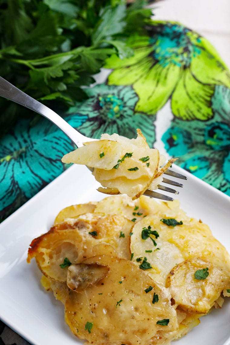 A forkful of scalloped potatoes above a plate of creamy au gratin potatoes with a floral napkin and parsley on the side.