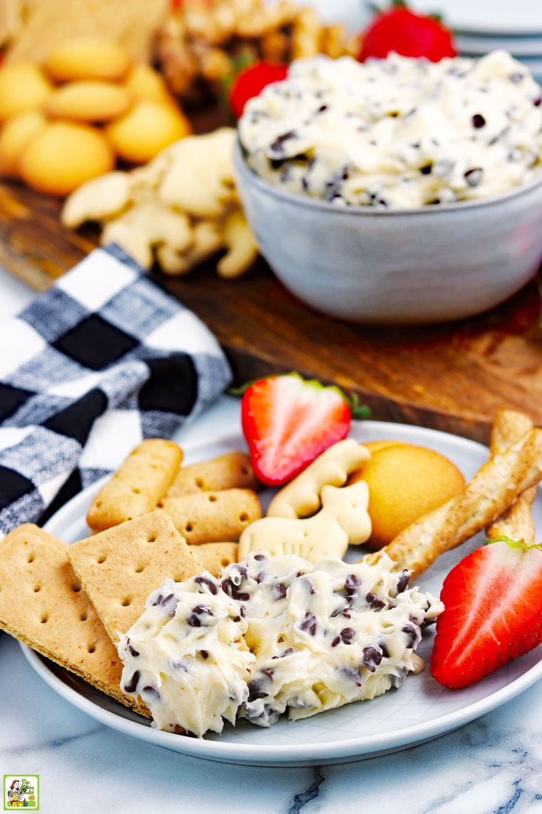 A plate of chocolate chip cookie dough dip, graham crackers, fruit, cookies, and pretzels with napkins, and a bowl of cookie dough dip and more dippers in the background.